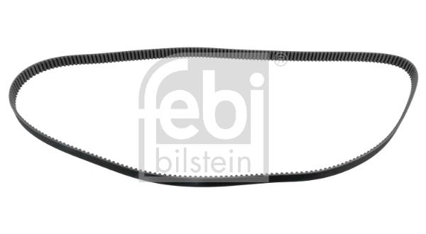 Timing Belt